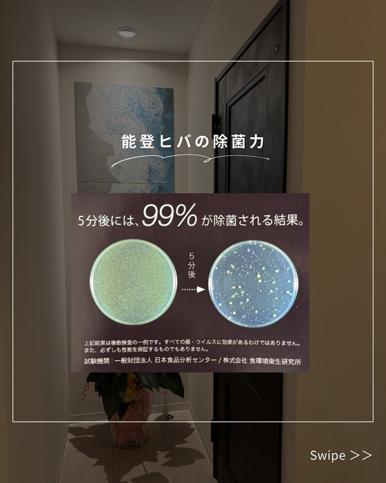 画像277