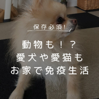 画像315
