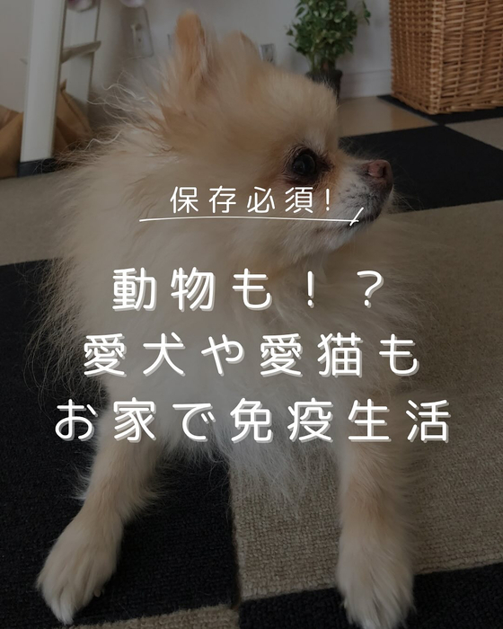 画像315