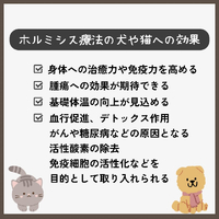 画像317