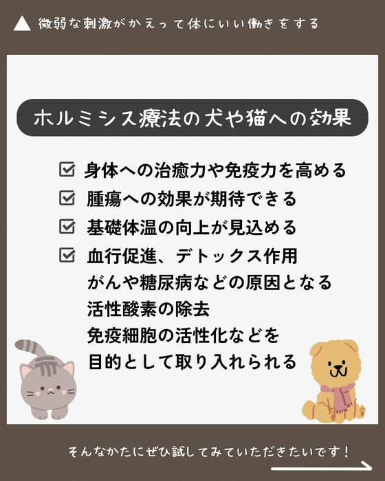 画像317