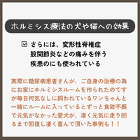 画像318