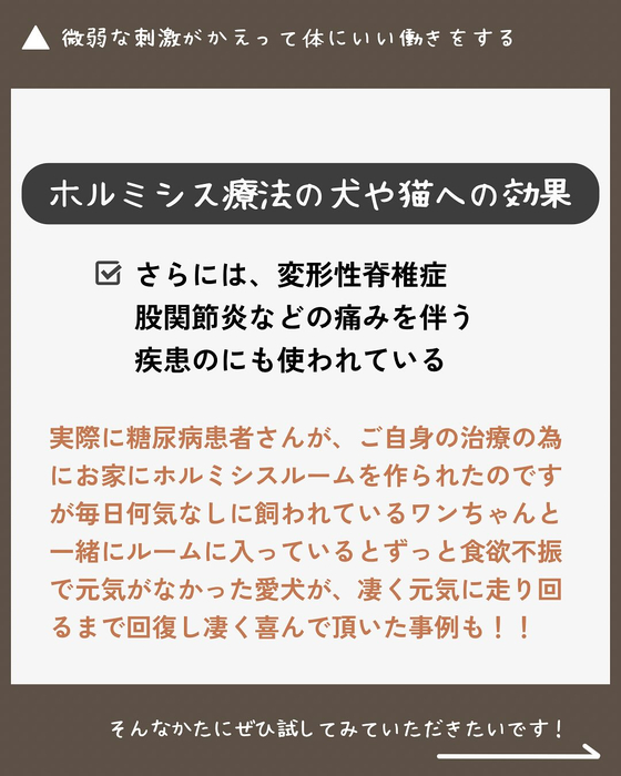 画像318