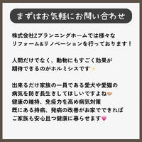 画像319
